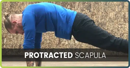 how to handstand protracted scapula