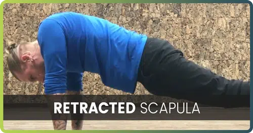 How to handstand retracted scapula