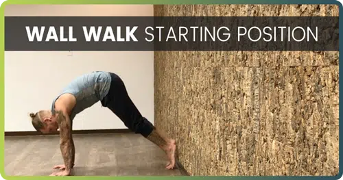 Handstand Drills Wall Walk 1