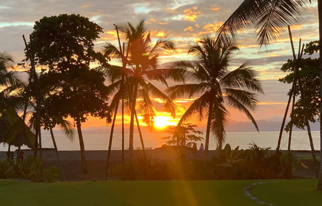 A sunset at the beach with palm trees while the sun is setting