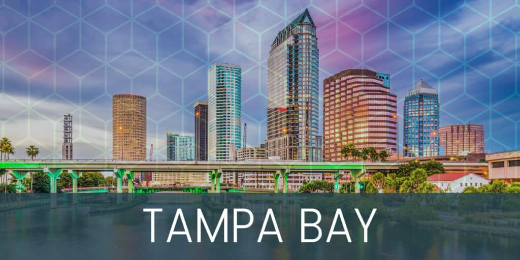 Tampa Bay night city lights and buildings with honeycomb-patterned filter